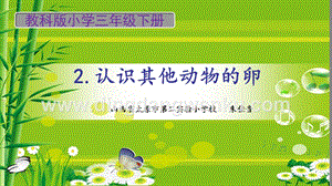 教科版三年級下冊科學(xué)認(rèn)識其他動物的卵教學(xué)課件.pptx