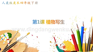 人美版小學美術四年級下冊1植物寫生課件.pptx