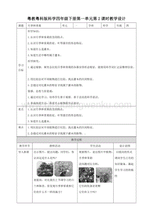 粵教粵科版小學科學四下第一單元第2課時《月季和茉莉》教案.doc