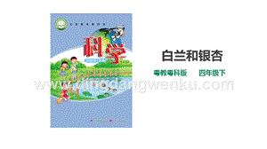 粵教粵科版小學科學四下第一單元第1課時白蘭和銀杏課件.ppt