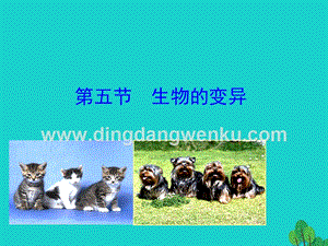 人教版八年級下冊生物7.2.5生物的變異課件.ppt
