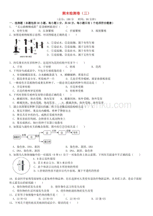 人教版初中生物八年級下學期期末檢測卷三附答案.doc