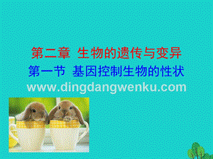 八年級生物下冊7.2.1基因控制生物的性狀課件.ppt