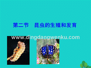 八年級生物下冊7.1.2昆蟲的生殖和發育課件.ppt