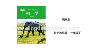 教科版一年級下冊科學2.5觀察魚課件.ppt