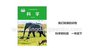 教科版一年級下冊科學2.1我們知道的動物課件.ppt