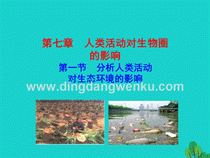 人教版七年級下冊生物4.7.1分析人類活動對生態環境的影響課件.ppt