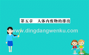 人教版七年級下冊生物4.5人體內(nèi)廢物的排出習題課件.ppt
