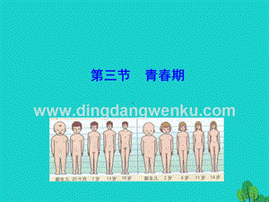 人教版七年級下冊生物4.1.3青春期課件.ppt