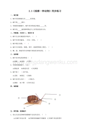 教科版一年級下冊科學2.3觀察一種動物練習.doc