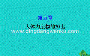 人教版七年級下冊生物4.5人體內(nèi)廢物的排出習題PPT課件.ppt