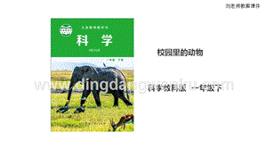 教科版一年級下冊科學2.2校園里的動物課件.ppt