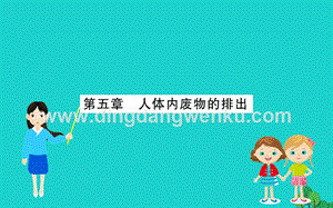 人教版七年級下冊生物第四單元第五章人體內(nèi)廢物的排出課件.ppt