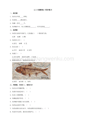 教科版一年級下冊科學2.5觀察魚練習.doc