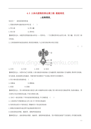 人教版七年級下冊生物4.5人體內(nèi)廢物的排出課三練提能培優(yōu).doc