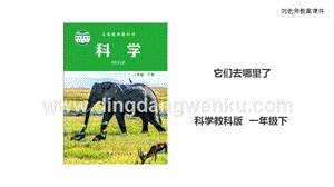 教科版一年級下冊科學1.6它們去哪里了課件.ppt