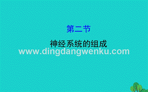 人教版七年級下冊生物4.6.2神經系統的組成習題課件.ppt