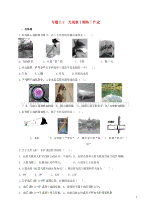 2020年中考物理知識精選專題2.2光現象測練和作業 附答案.doc