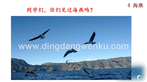 部編版九年級下冊語文4 海燕 教學課件.pptx