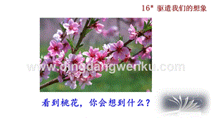 部編版九年級下冊語文16 驅遣我們的想象 教學課件.pptx