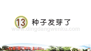 青島版小學科學三年級下冊13種子發(fā)芽了教學課件.ppt
