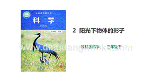 教科版三下第三單元第2課陽光下物體的影子課件.pptx