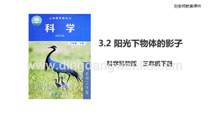 2020教科版三年級下冊科學3.2陽光下物體的影子（課件）.ppt