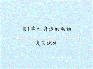 粵教版二年級下冊科學課件-第1單元 身邊的動物- （2017） (共16張PPT).pptx