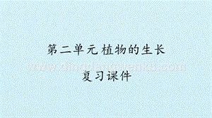 湘科版二年級下冊科學課件- 第二單元 植物的生長 復習課件(共13張PPT).pptx
