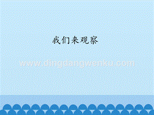 粵教版一年級(jí)上冊科學(xué)課件-3 我們來觀察(共12張PPT).pptx