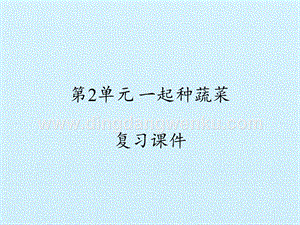 粵教版二年級下冊科學課件-第2單元 一起種蔬菜- （2017） (共12張PPT).pptx