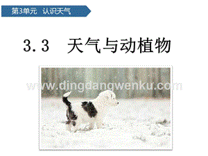 青島版（六三制）二年級下冊科學課件-第9課天氣與動植物(共12張PPT).pptx