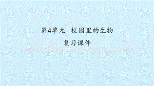 粵教版一年級(jí)下冊(cè)科學(xué)課件-第4單元校園里的生物復(fù)習(xí)課件(共32張PPT).pptx