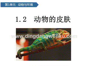 青島版（六三制）三年級(jí)上冊(cè)科學(xué)課件第2課動(dòng)物的皮膚(共17張PPT).pptx