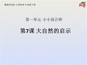 粵教粵科版六年級下冊科學課件第7課大自然的啟示(共20張PPT).pptx