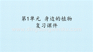 粵教版二年級上冊科學課件-第1單元 身邊的植物 復習課件(共15張PPT).pptx