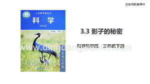 2020版教科版三年級下冊科學3.3 影子的秘密（課件）.ppt