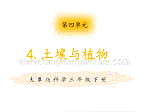 大象版三年級下冊科學4.4土壤與植物.pptx