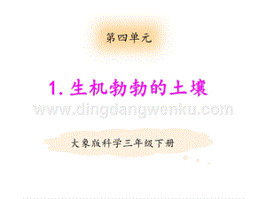 大象版三年級下冊科學4.1生機勃勃的土壤 教學課件.pptx