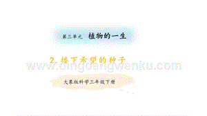 大象版三年級(jí)下冊(cè)科學(xué)3.2播下希望的種子 教學(xué)課件.pptx