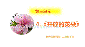 大象版三年級(jí)下冊(cè)科學(xué)開(kāi)放的花朵.pptx