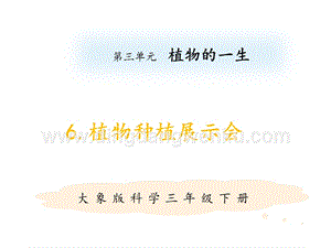 大象版三年級下冊科學(xué)第三單元3.6植物種植展示會.pptx