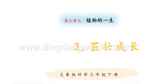 大象版三年級下冊科學3.3茁壯成長教學課件.pptx