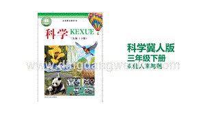 冀人版三年級下冊科學6.仙人掌與蓮教學課件.pptx