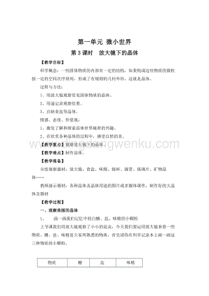 教科版六年級下冊科學第3課時放大鏡下的晶體教案.doc