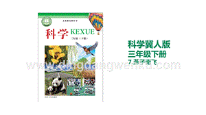 冀人版三年級(jí)下冊(cè)科學(xué)7.燕子南飛教學(xué)課件.pptx