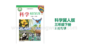 冀人版三年級下冊科學2.樹與草教學課件.pptx