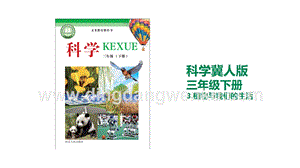 冀人版三年級下冊科學3.植物與我們的生活教學課件.pptx