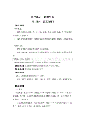 教科版四年級下冊科學(xué)第1課時油菜花開了教案.doc