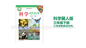 冀人版三年級下冊科學4.種類繁多的動物教學課件.pptx
